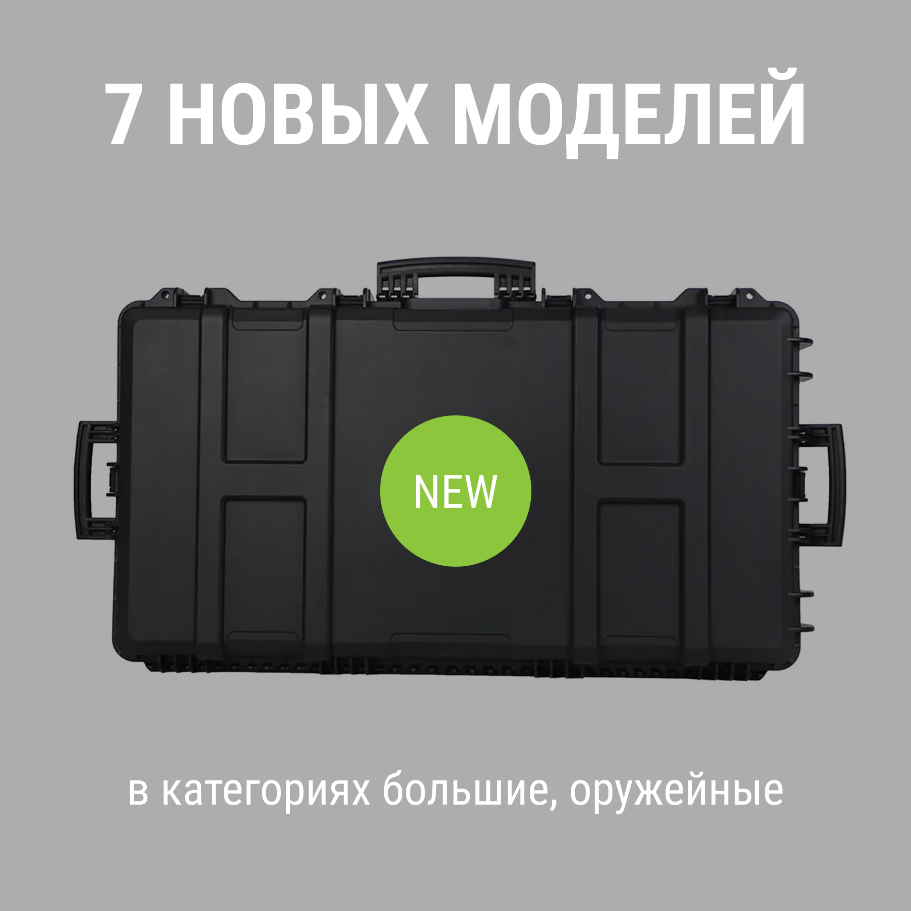 Пополнение модельного ряда